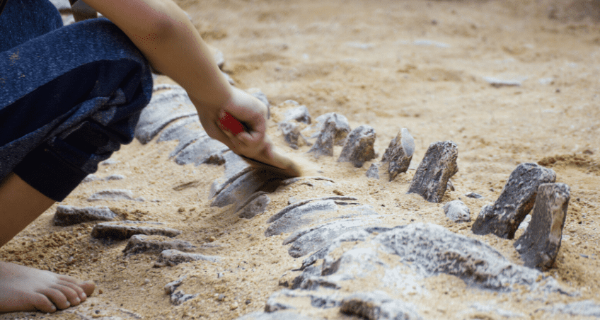 dinosaur excavation sites